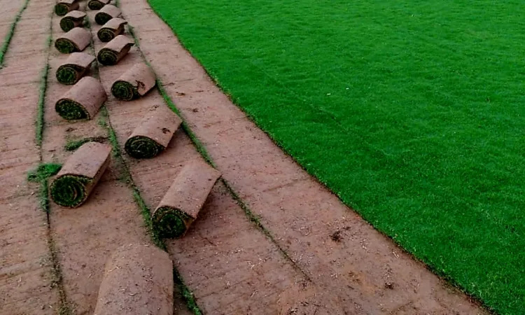 alanat.net64b0dec477e16