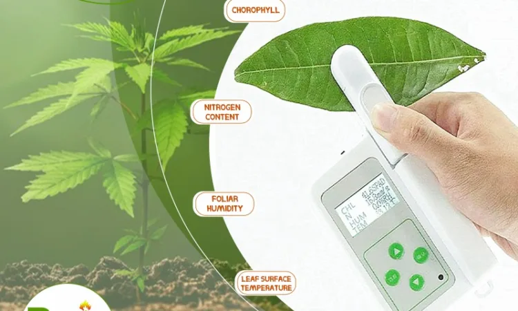 alanat.net64f45b8110791