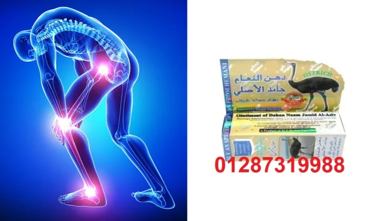 alanat.net6509854b04ecf