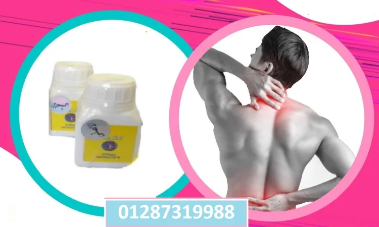 alanat.net6530efb1203f1