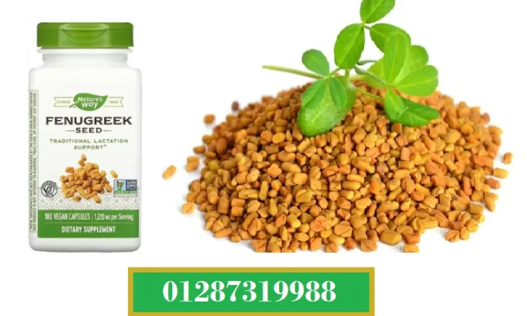 alanat.net653380fa98e00