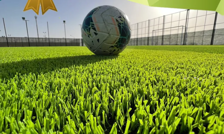 alanat.net653a6d6fefd34