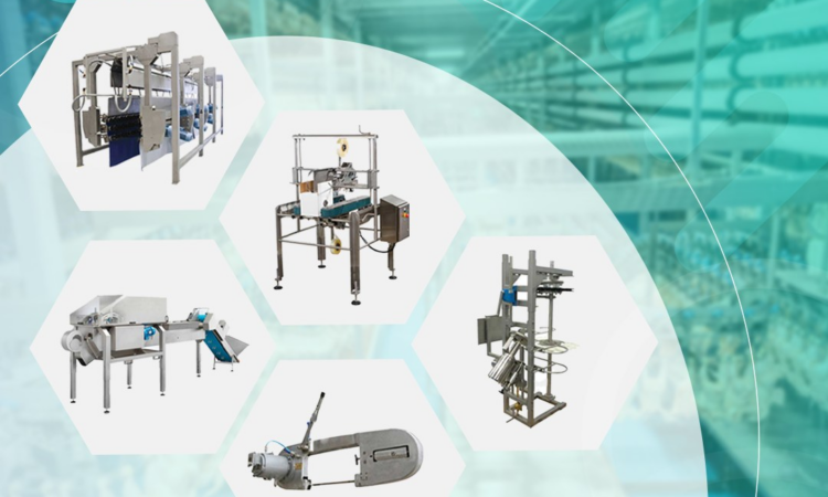 alanat.net653ce03d2bab9