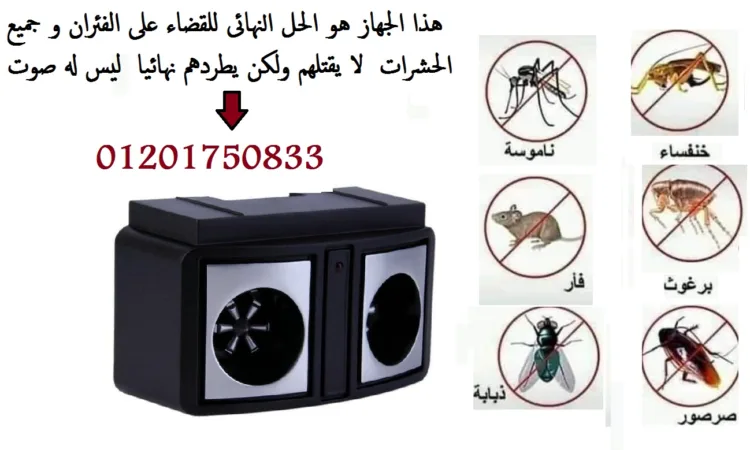 alanat.net6540e2fce7446