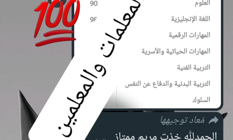 alanat.net6558f6454b87a