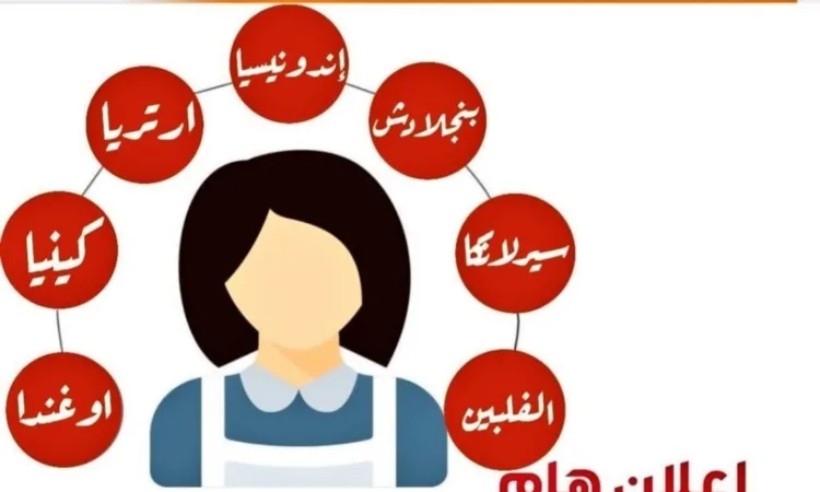 alanat.net655bd478b9ea5