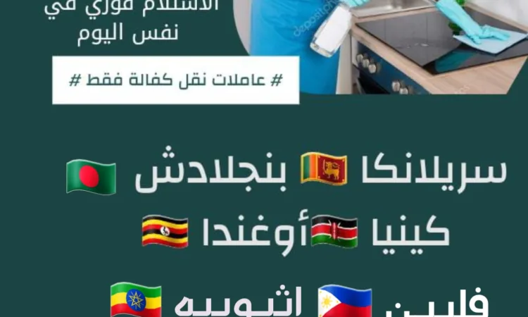 alanat.net6563f5c04a6f1