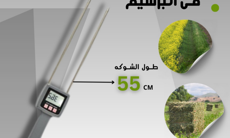 alanat.net66fbd2dc1e319
