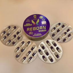 311737280 3495332654082586 8220406897724695604 n