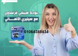 476358195 1171895387975852 2649050148193071187 n