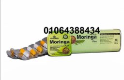 476976575 1173819261116798 703719199067709934 n