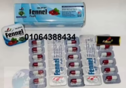 477651861 1173261847839206 371834606168460607 n