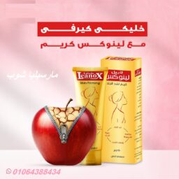 480223986 617286207717758 6382734469813912806 n