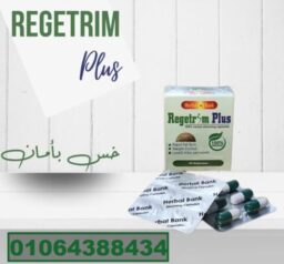 484067684 573825292338606 6188213665538251420 n 531x493 1