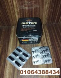 491414094 1248387533961221 7087073026923952112 n 391x493 1