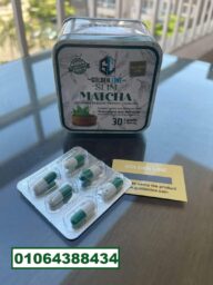 492244600 1224765862992274 4842328360257051368 n