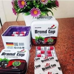 Annotation 2025 05 25 085355