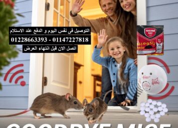 أفضل حل لطرد الفئران من المنزل 1.jpg