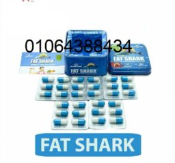 482980571 1196972415468149 6949533816245875806 n