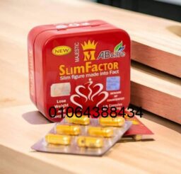 482985092 1196971815468209 6660033176090794097 n 1