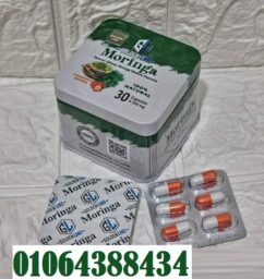 482986097 574680888919713 9102609795751997094 n