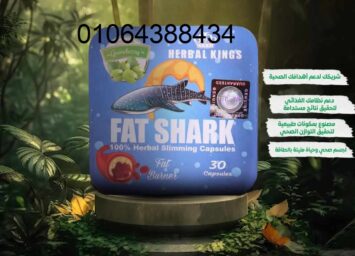 482987969 1196972422134815 1656064878499210028 n