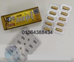 483759768 1196972435468147 4138545598941247532 n