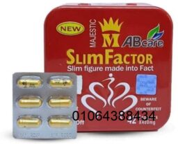 483831422 1196971585468232 5690991757947528393 n