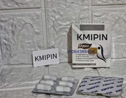 484074381 1196972238801500 5077862113973177288 n