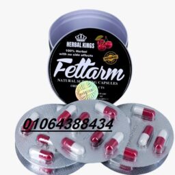 486611722 1205424034622987 5993168359127276811 n