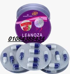 486615923 1205516381280419 750472881101119957 n