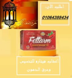 488215993 1210657124099678 7505276539402049689 n