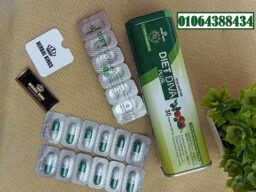 491915916 1139726078167034 7195007302817169071 n