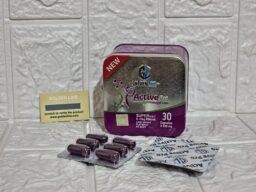 493880077 1264917355640062 4142357732721852964 n