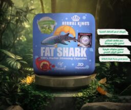 496934975 122155105658606429 9042095386292792828 n