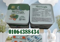 499802838 1298558128937152 8198567454419236343 n