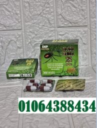 Annotation 2025 06 17 153334