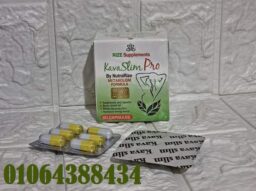 Annotation 2025 06 21 134517