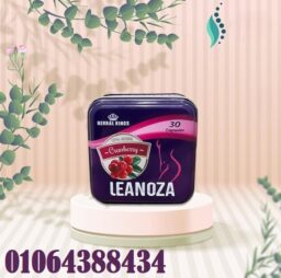 Screenshot 2025 06 29 091835