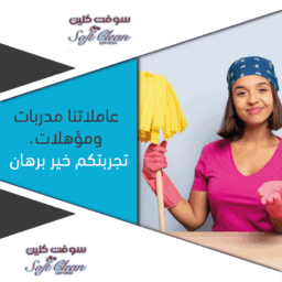 280099833 394637332579970 7830247517024511395 n