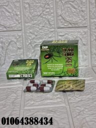 494116648 685439424086779 732357462590227327 n