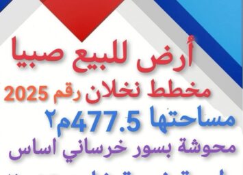 IMG 20250312 WA0008 1