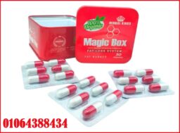 Screenshot 2025 07 06 123110