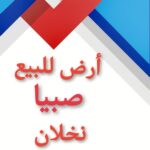 IMG 20250828 WA0046 2