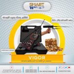 VIGOR