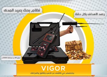 VIGOR