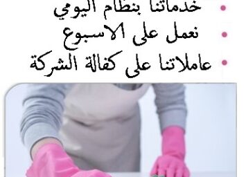 277253264 367338468643190 5573272952236453505 n