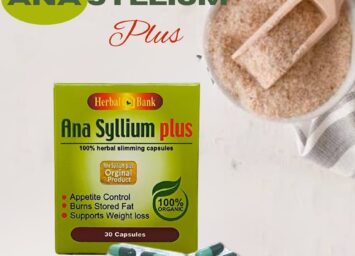 495659500 1142938107852777 8422121732268138226 n