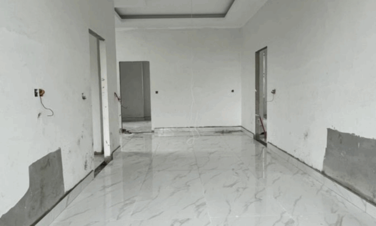 Picsart 25 11 24 12 19 04 073 1