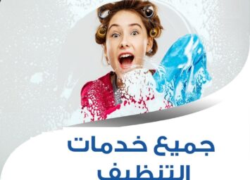 273050484 248933820721809 3032483273134889414 n